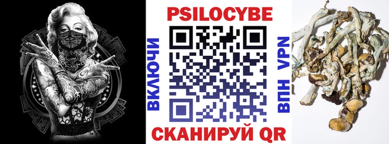 хочу   Вологда  это Telegram  Галлюциногенные грибы мицелий  гидра зеркало 