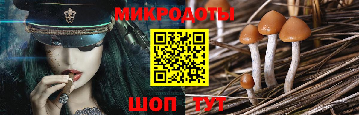 Галлюциногенные грибы ЛСД  Вход с VPN  Вологда 