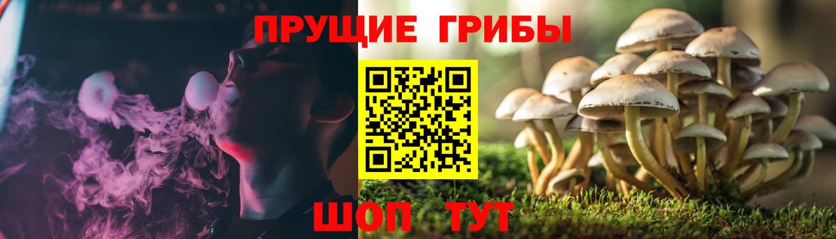 Вологда  Кокаин  Кокаин  Меф  Вход с VPN  Каннабис  Хэш 
